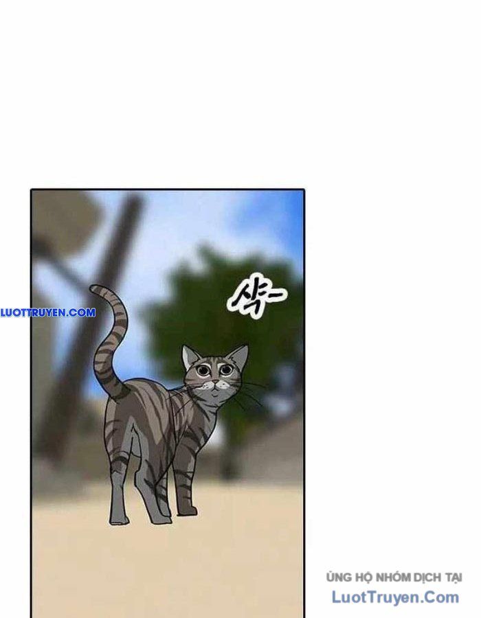 Thần Chết Bậc Thầy Của Âm Giới Chapter 9 - Trang 22