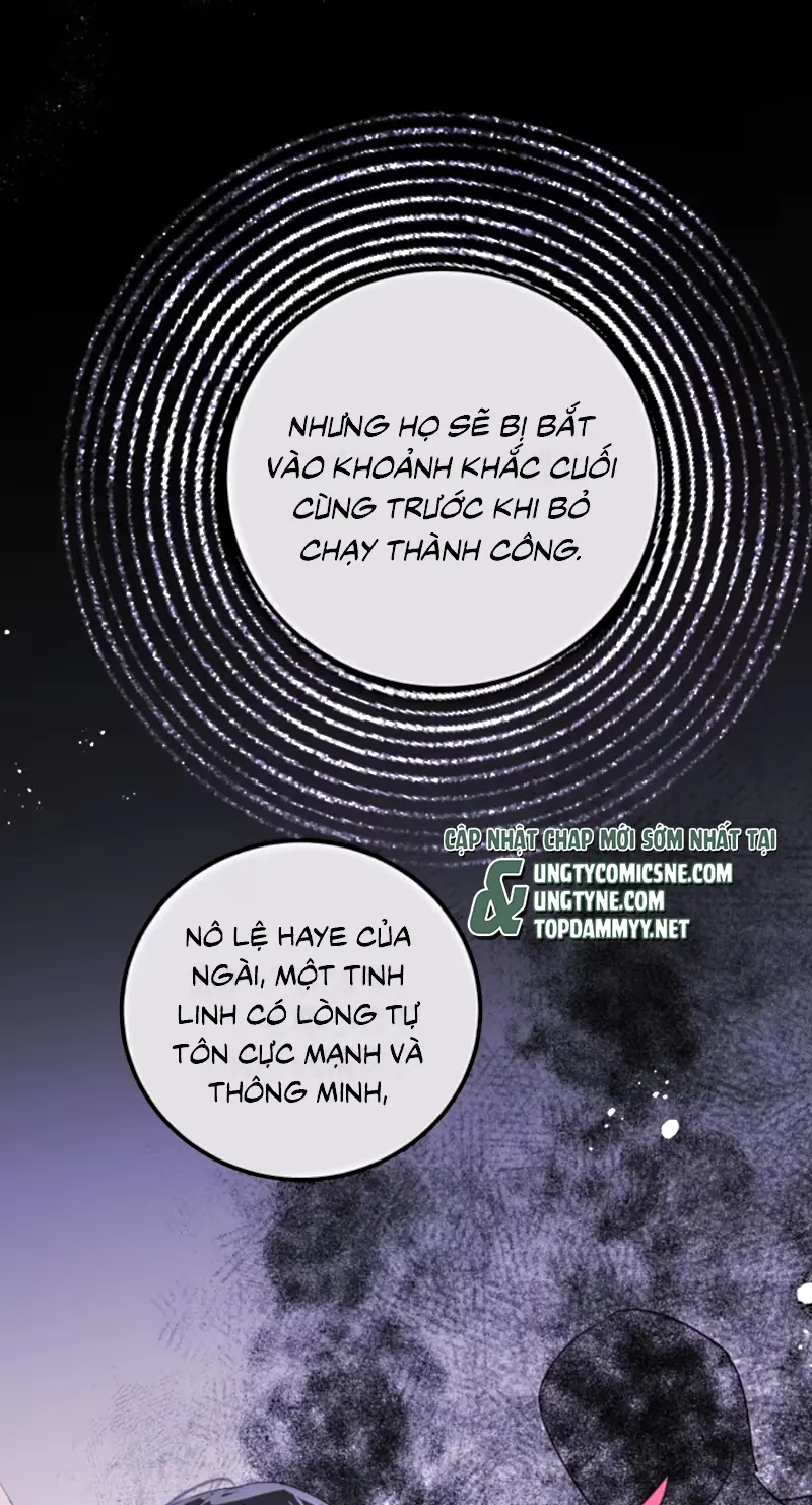 Thân Là Boss Cuối Cùng, Ta Lại Rơi Vào Tay Kẻ Tử Địch Chapter 11 - Trang 8
