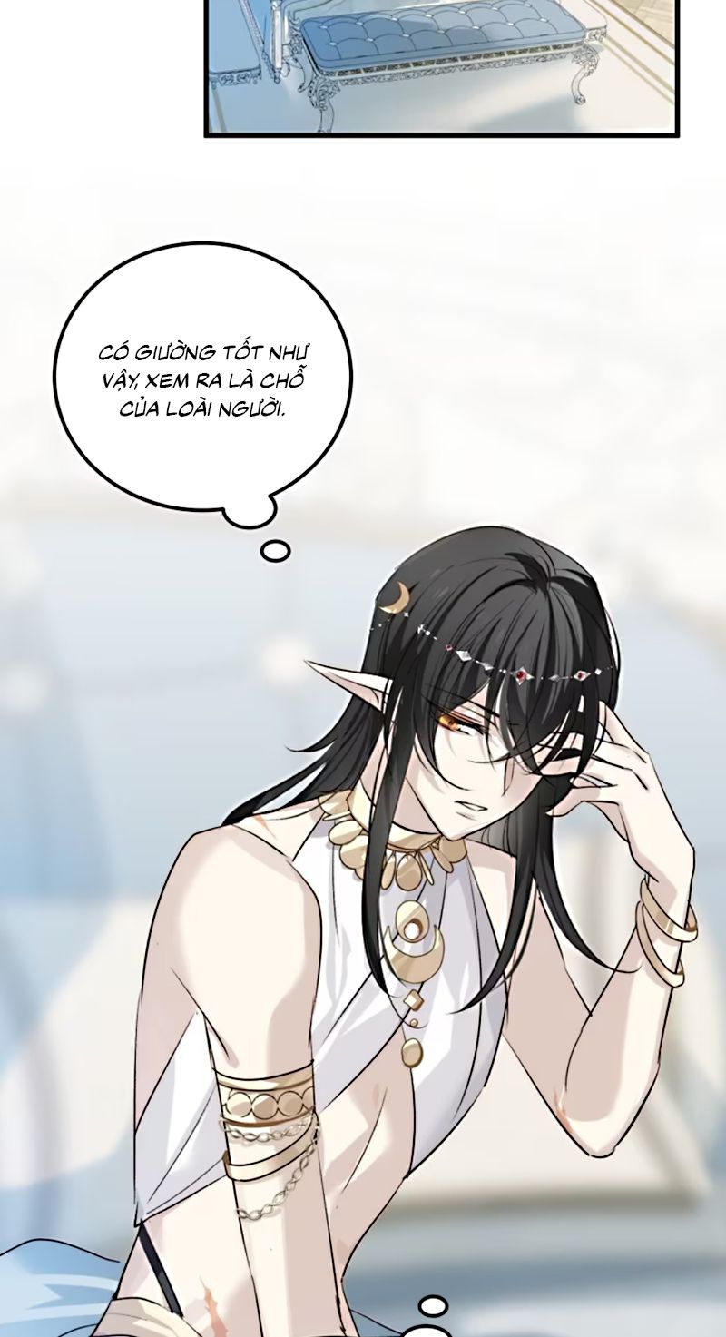 Thân Là Boss Cuối Cùng, Ta Lại Rơi Vào Tay Kẻ Tử Địch Chapter 4 - Trang 6