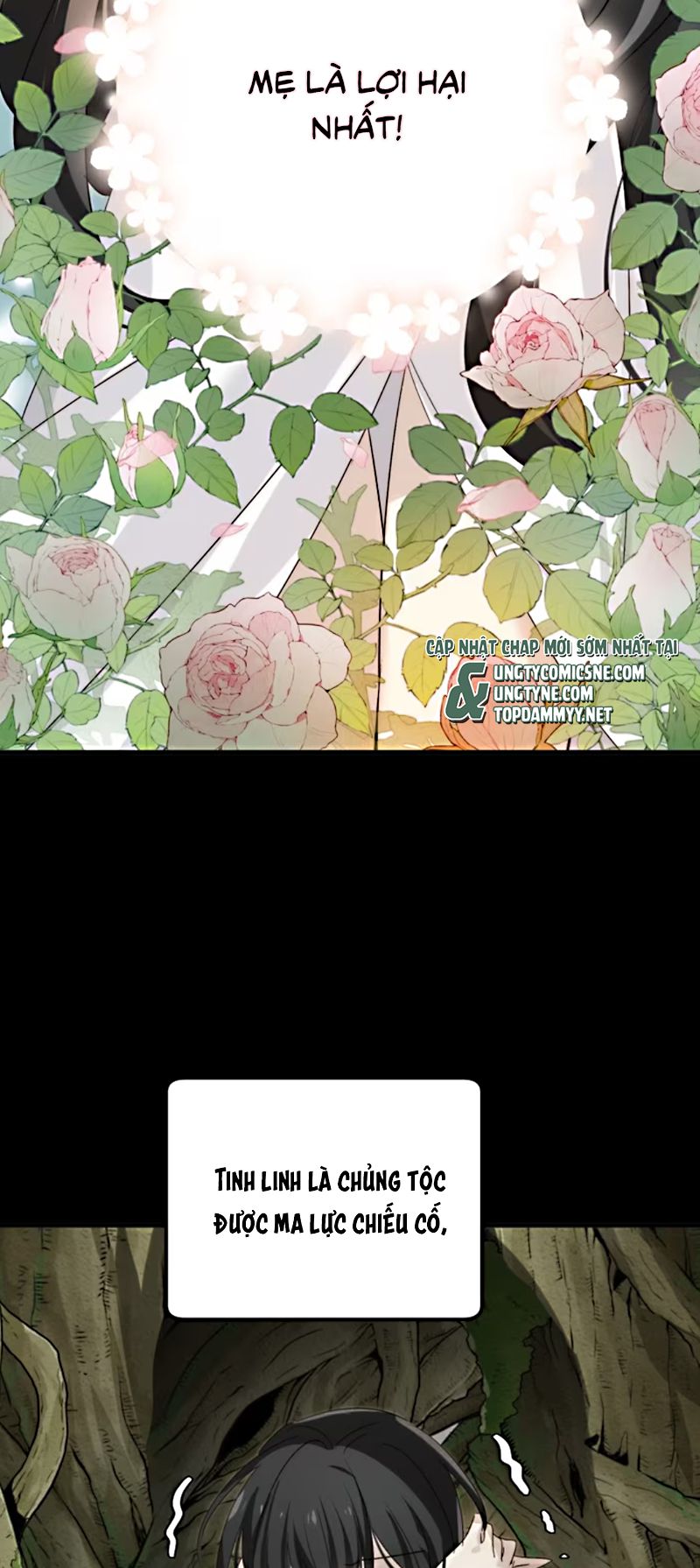 Thân Là Boss Cuối Cùng, Ta Lại Rơi Vào Tay Kẻ Tử Địch Chapter 6 - Trang 12