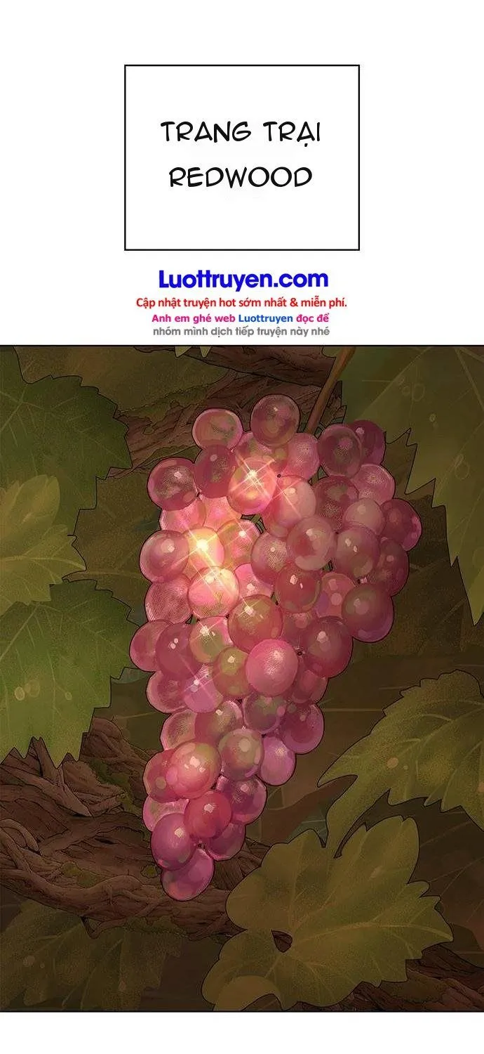 Thần Rượu Vang Chapter 1 - Trang 6