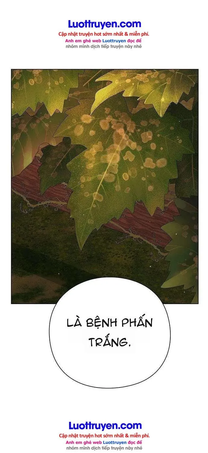Thần Rượu Vang Chapter 2 - Trang 42