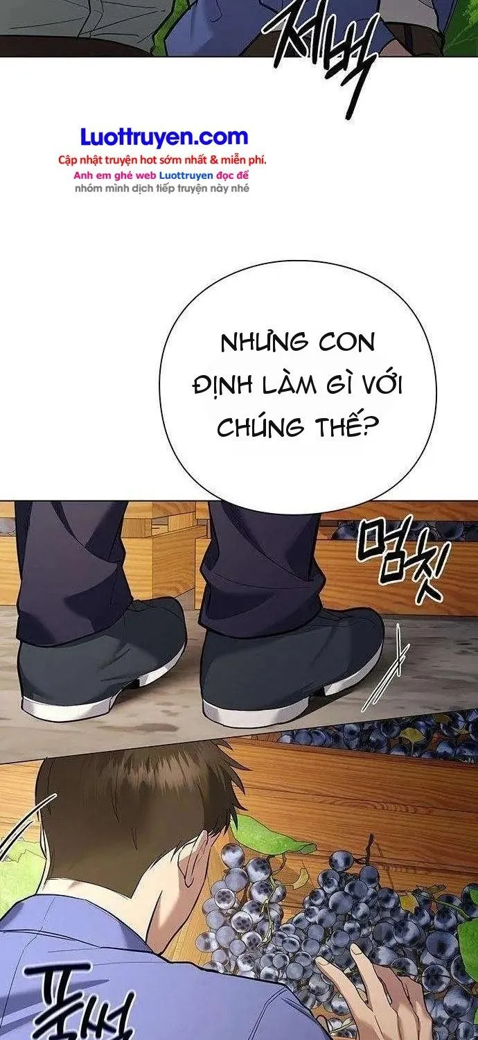 Thần Rượu Vang Chapter 4 - Trang 41