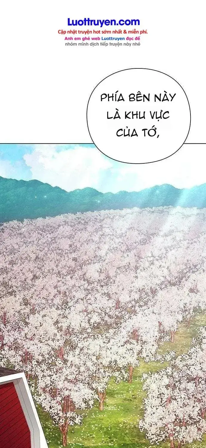 Thần Rượu Vang Chapter 7 - Trang 31