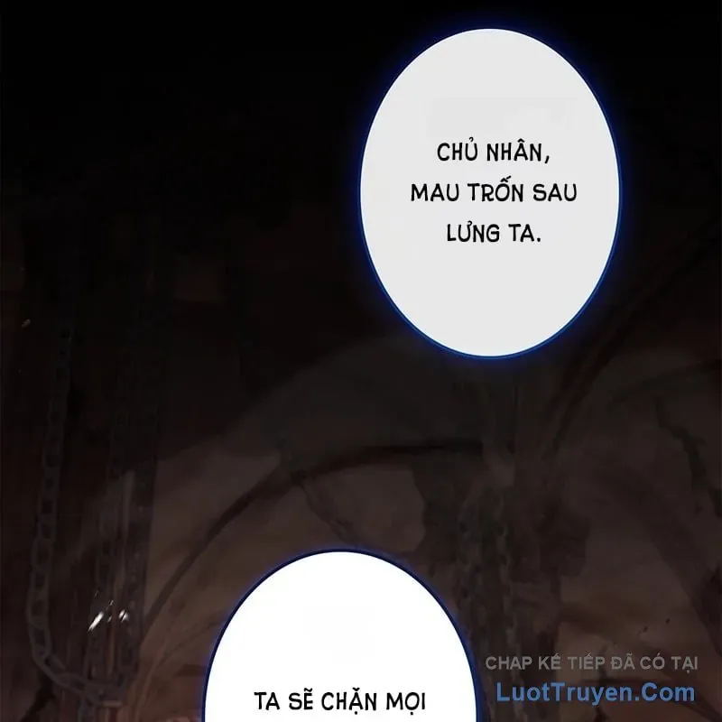 Thánh Giả Thăng Cấp Nhờ Chiêu Hồn Sư Chapter 16 - Trang 49