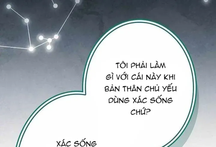 Thánh Giả Thăng Cấp Nhờ Chiêu Hồn Sư Chapter 26 - Trang 13