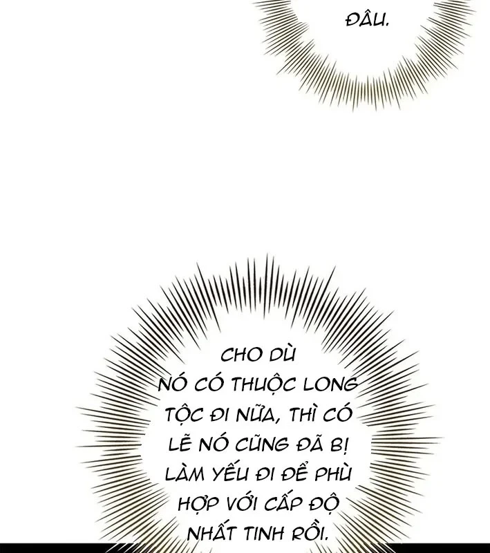 Thánh Giả Thăng Cấp Nhờ Chiêu Hồn Sư Chapter 6 - Trang 15