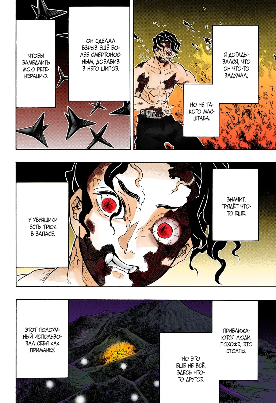 Thanh Gươm Diệt Quỷ (Truyện Màu) Chapter 138 - Trang 12
