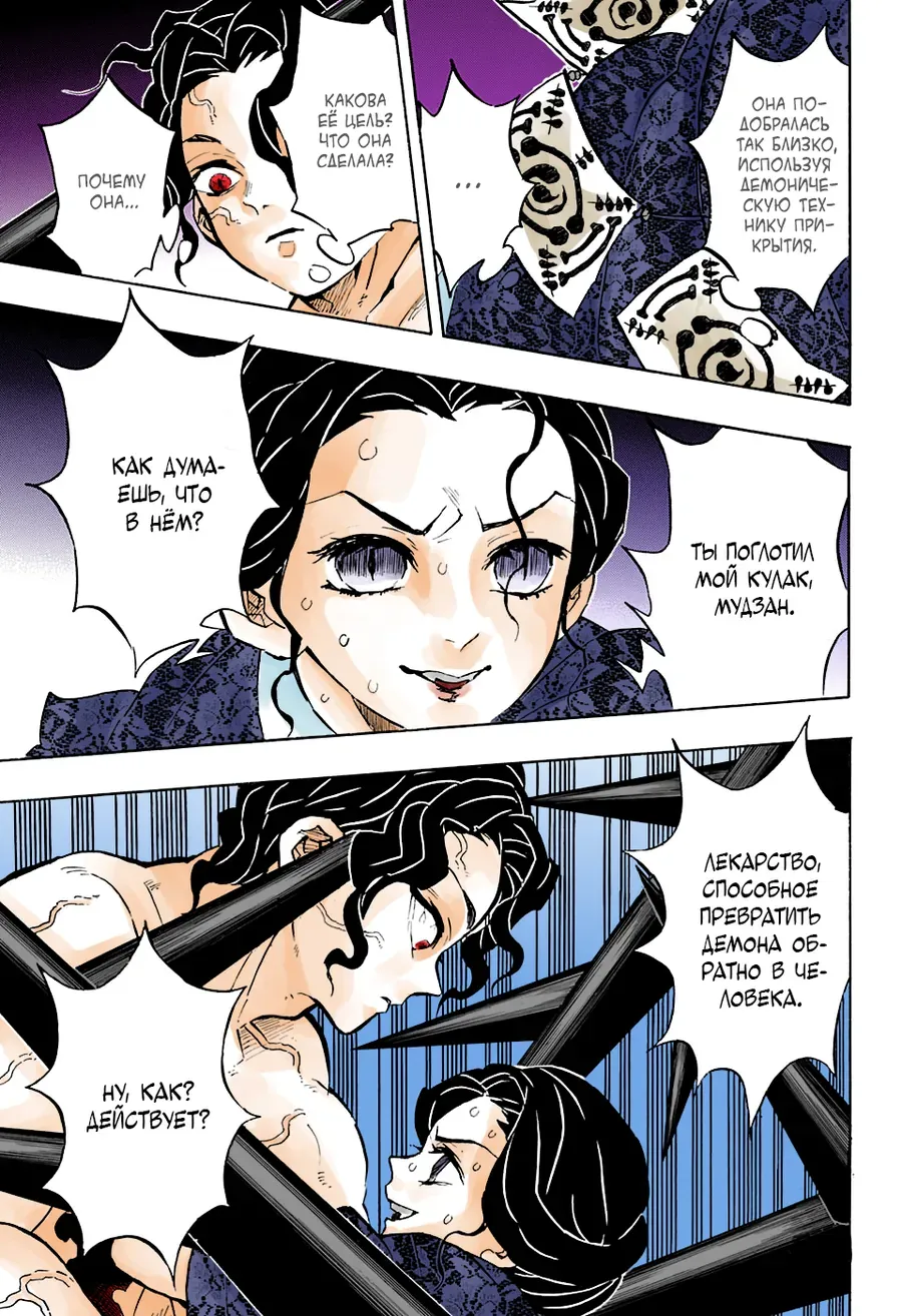 Thanh Gươm Diệt Quỷ (Truyện Màu) Chapter 138 - Trang 17
