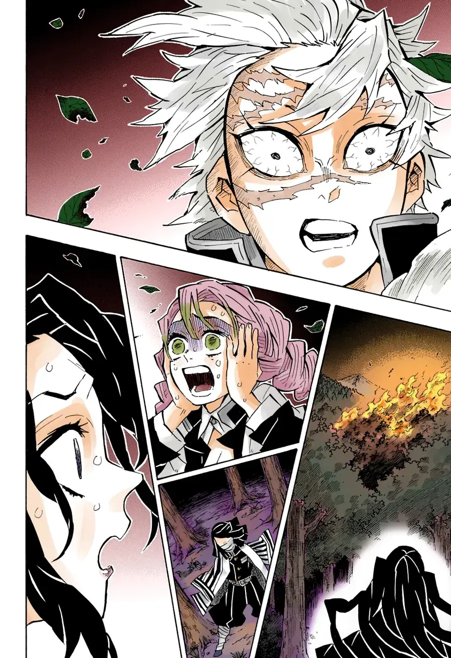 Thanh Gươm Diệt Quỷ (Truyện Màu) Chapter 138 - Trang 8