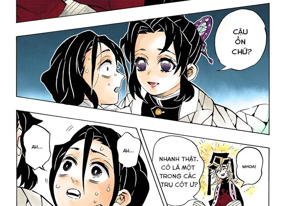 Thanh Gươm Diệt Quỷ (Truyện Màu) Chapter 141 - Trang 13