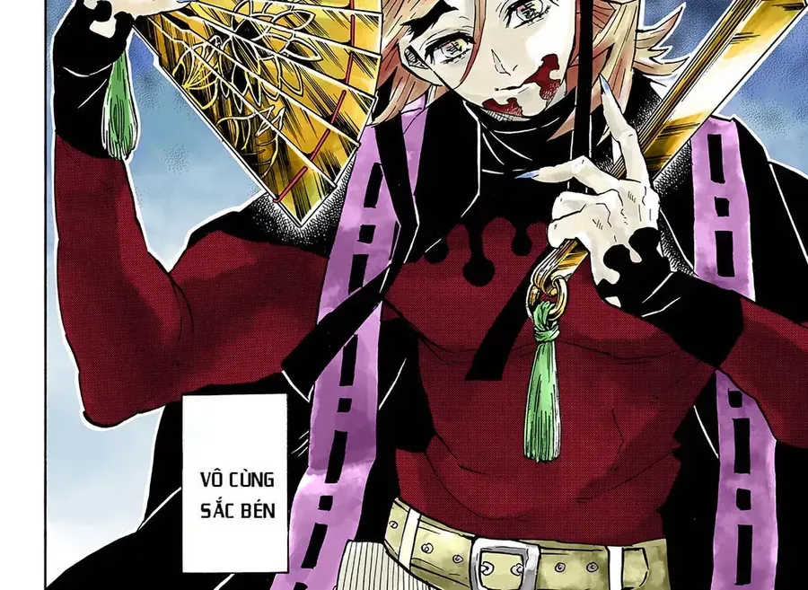 Thanh Gươm Diệt Quỷ (Truyện Màu) Chapter 141 - Trang 17