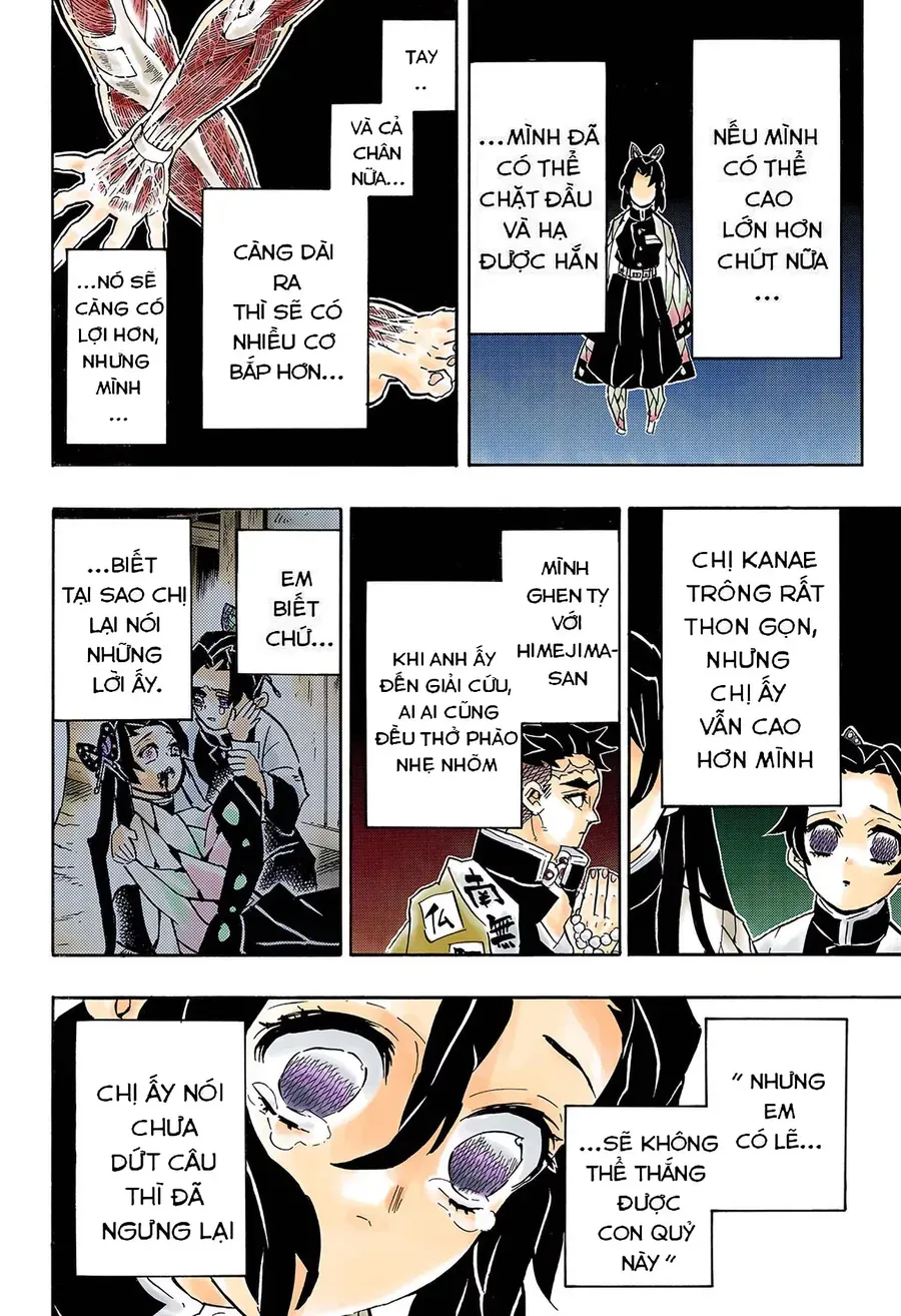 Thanh Gươm Diệt Quỷ (Truyện Màu) Chapter 142 - Trang 11