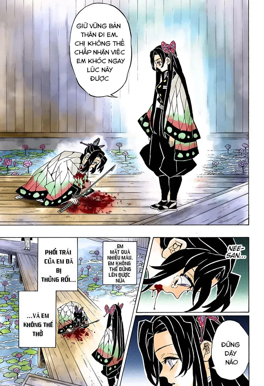 Thanh Gươm Diệt Quỷ (Truyện Màu) Chapter 142 - Trang 12