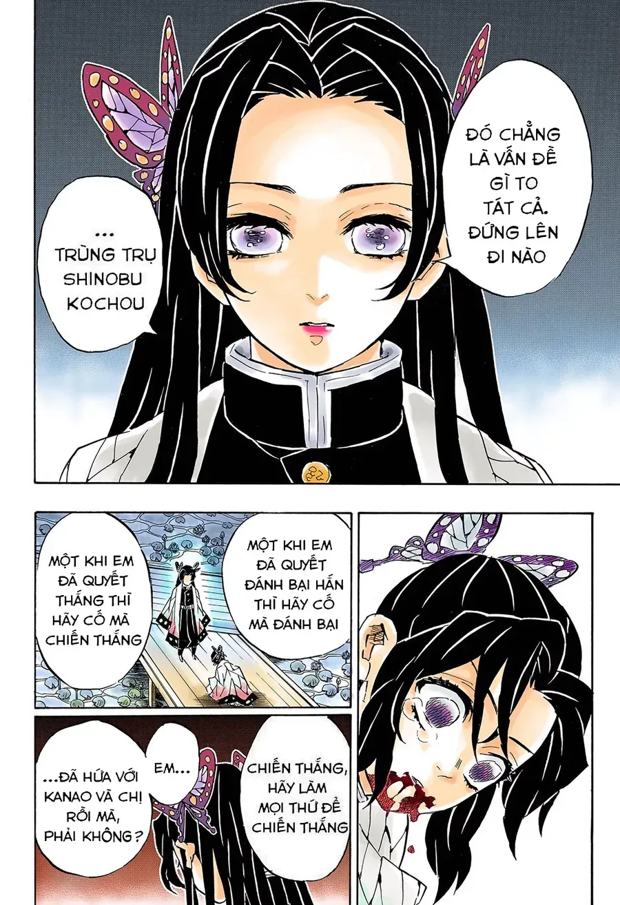 Thanh Gươm Diệt Quỷ (Truyện Màu) Chapter 142 - Trang 13