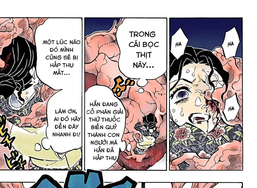 Thanh Gươm Diệt Quỷ (Truyện Màu) Chapter 146 - Trang 38