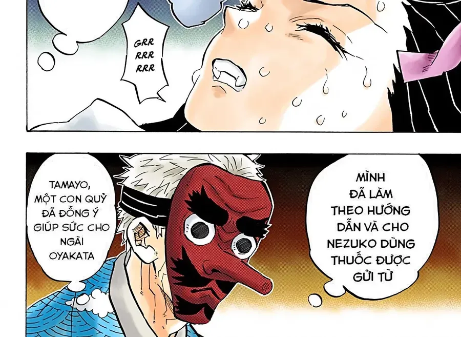 Thanh Gươm Diệt Quỷ (Truyện Màu) Chapter 147 - Trang 11