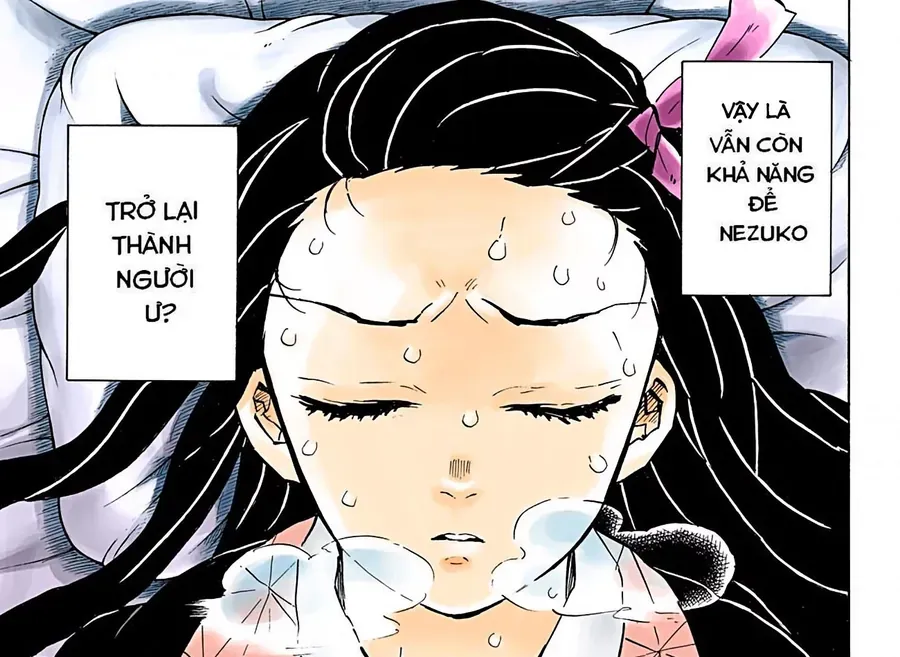 Thanh Gươm Diệt Quỷ (Truyện Màu) Chapter 147 - Trang 12