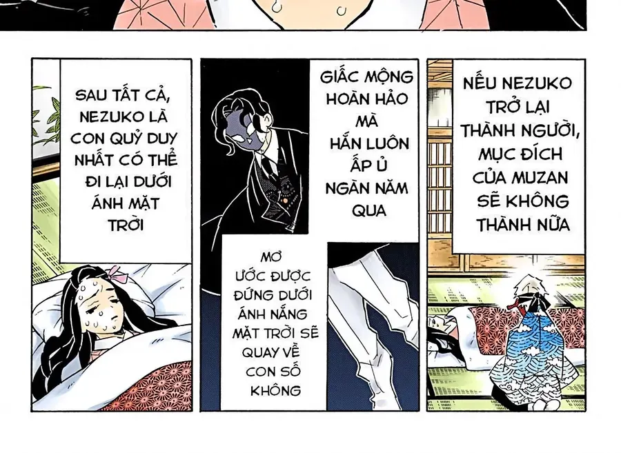 Thanh Gươm Diệt Quỷ (Truyện Màu) Chapter 147 - Trang 13