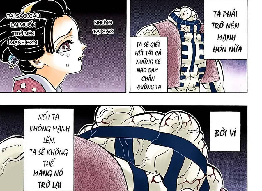 Thanh Gươm Diệt Quỷ (Truyện Màu) Chapter 154 - Trang 11
