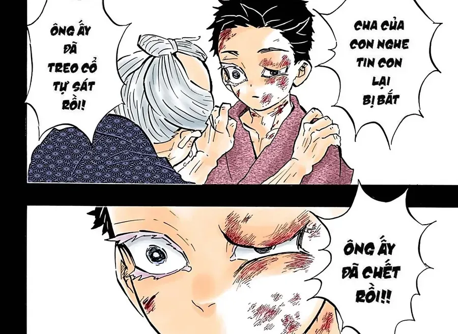 Thanh Gươm Diệt Quỷ (Truyện Màu) Chapter 154 - Trang 17