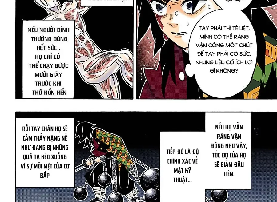 Thanh Gươm Diệt Quỷ (Truyện Màu) Chapter 154 - Trang 5