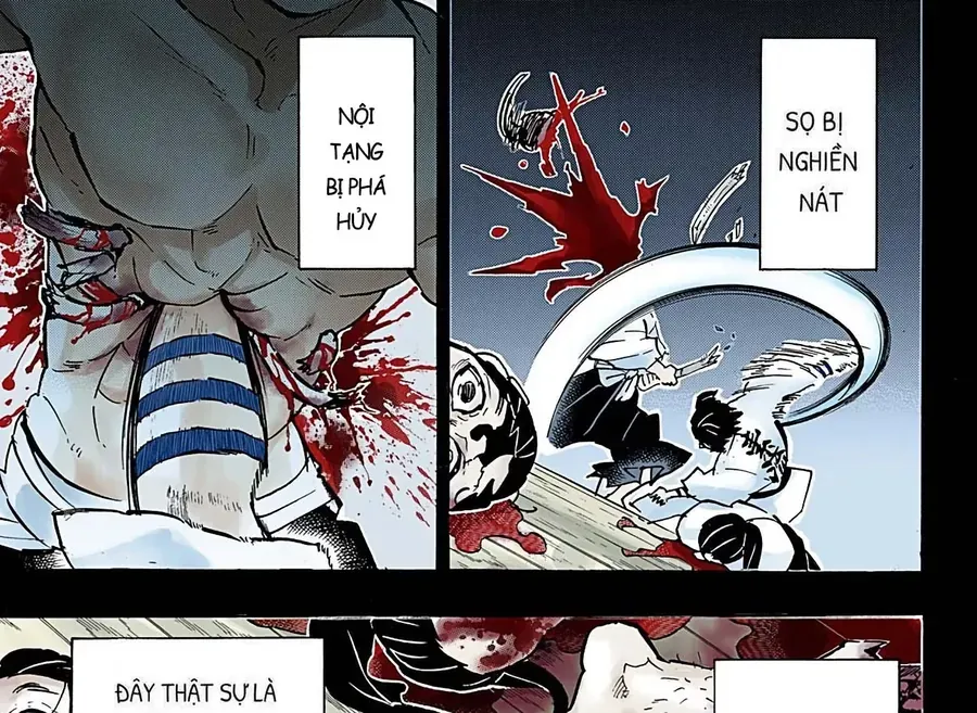 Thanh Gươm Diệt Quỷ (Truyện Màu) Chapter 155 - Trang 30