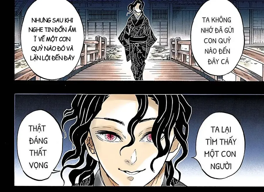 Thanh Gươm Diệt Quỷ (Truyện Màu) Chapter 155 - Trang 33