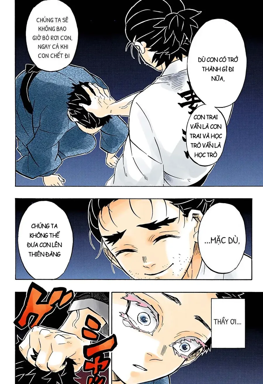 Thanh Gươm Diệt Quỷ (Truyện Màu) Chapter 156 - Trang 17