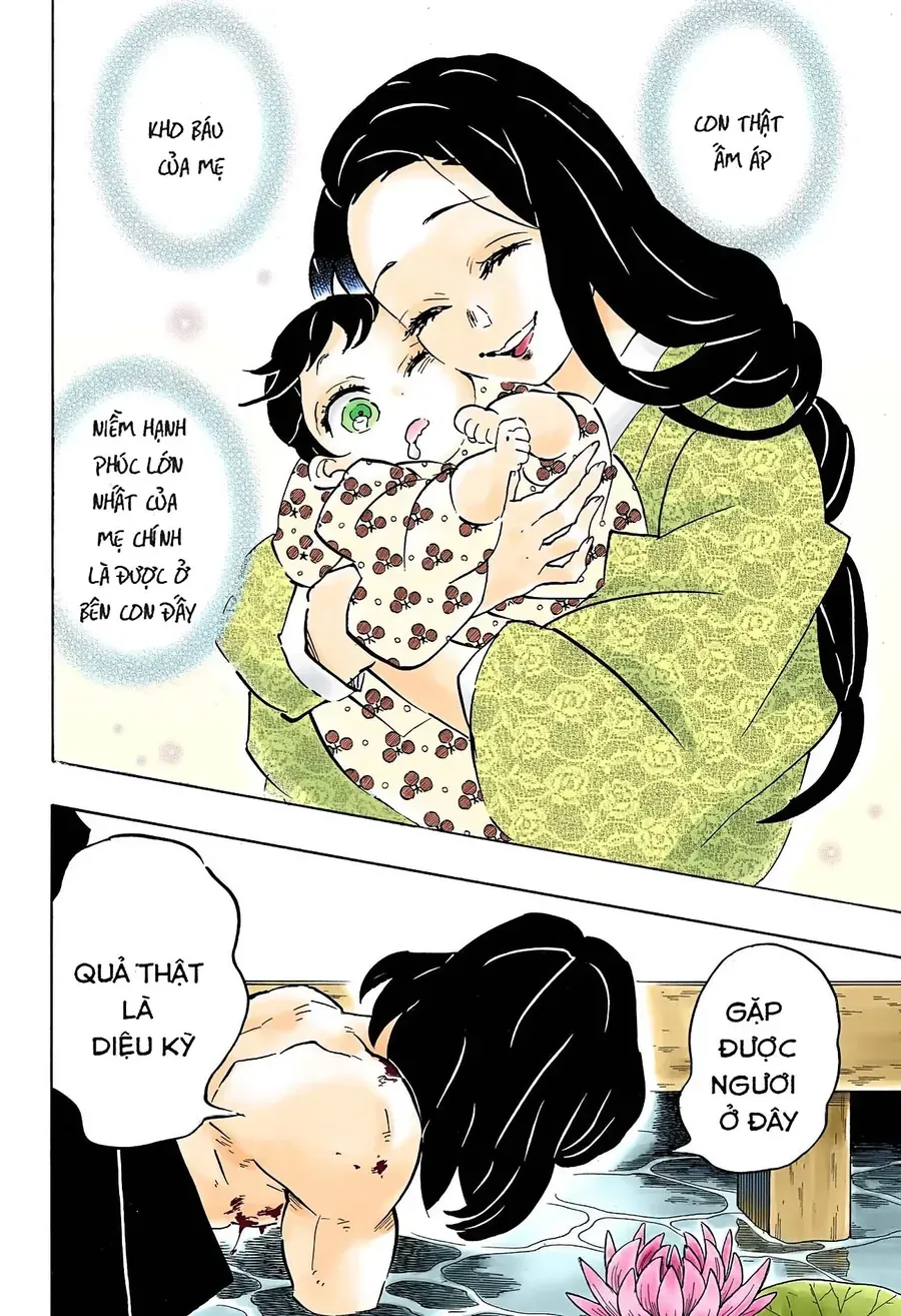 Thanh Gươm Diệt Quỷ (Truyện Màu) Chapter 160 - Trang 19