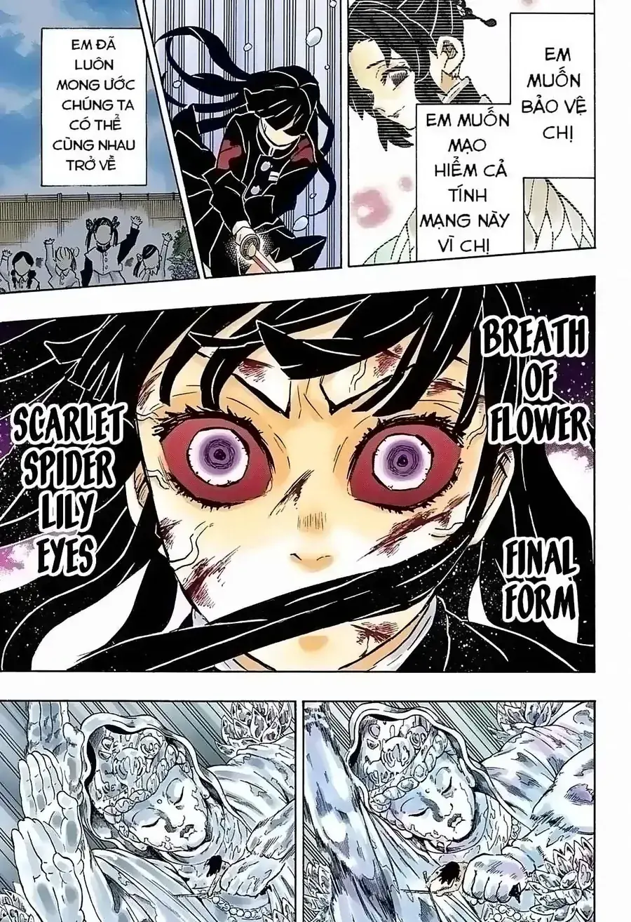 Thanh Gươm Diệt Quỷ (Truyện Màu) Chapter 162 - Trang 17