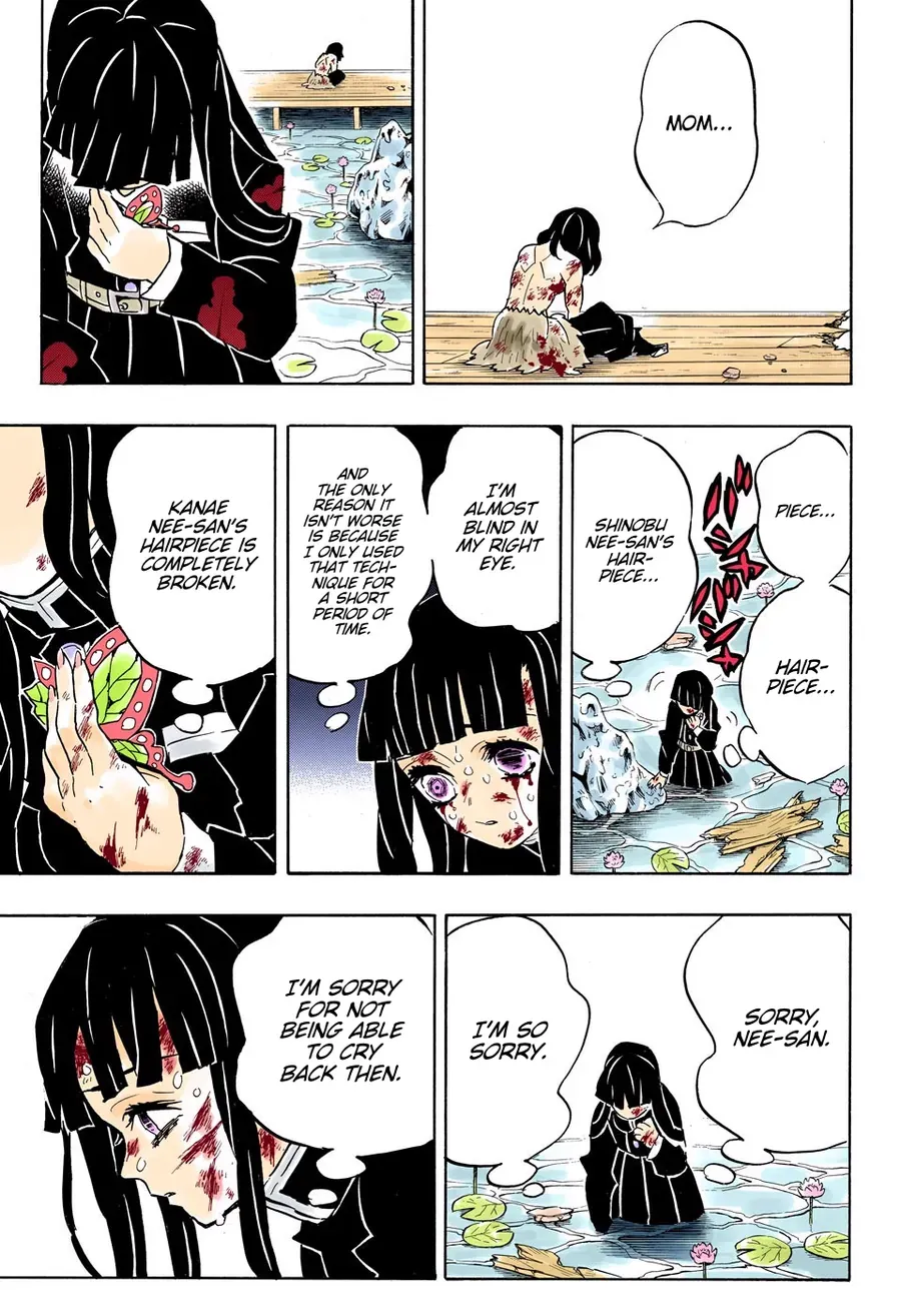 Thanh Gươm Diệt Quỷ (Truyện Màu) Chapter 163 - Trang 14