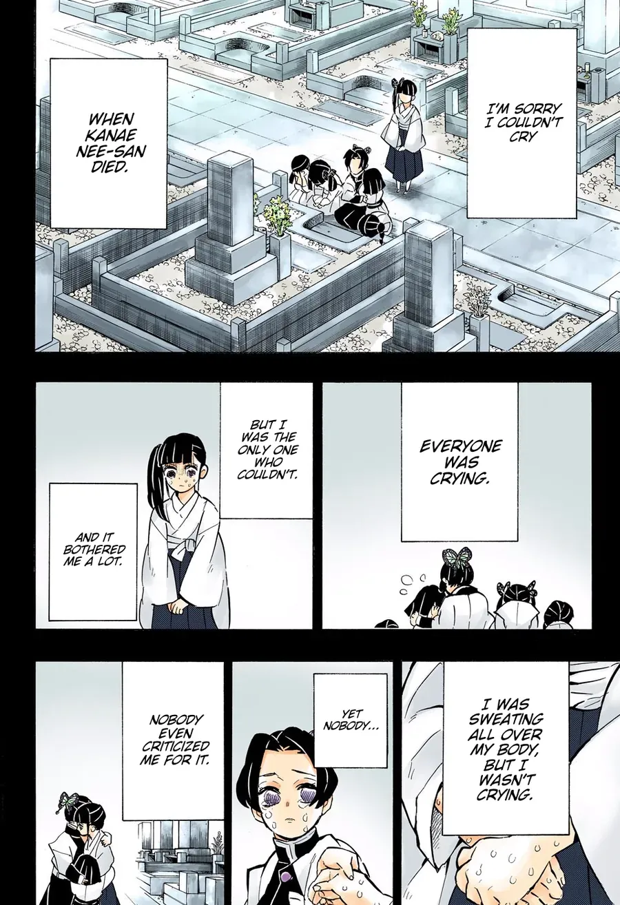 Thanh Gươm Diệt Quỷ (Truyện Màu) Chapter 163 - Trang 15