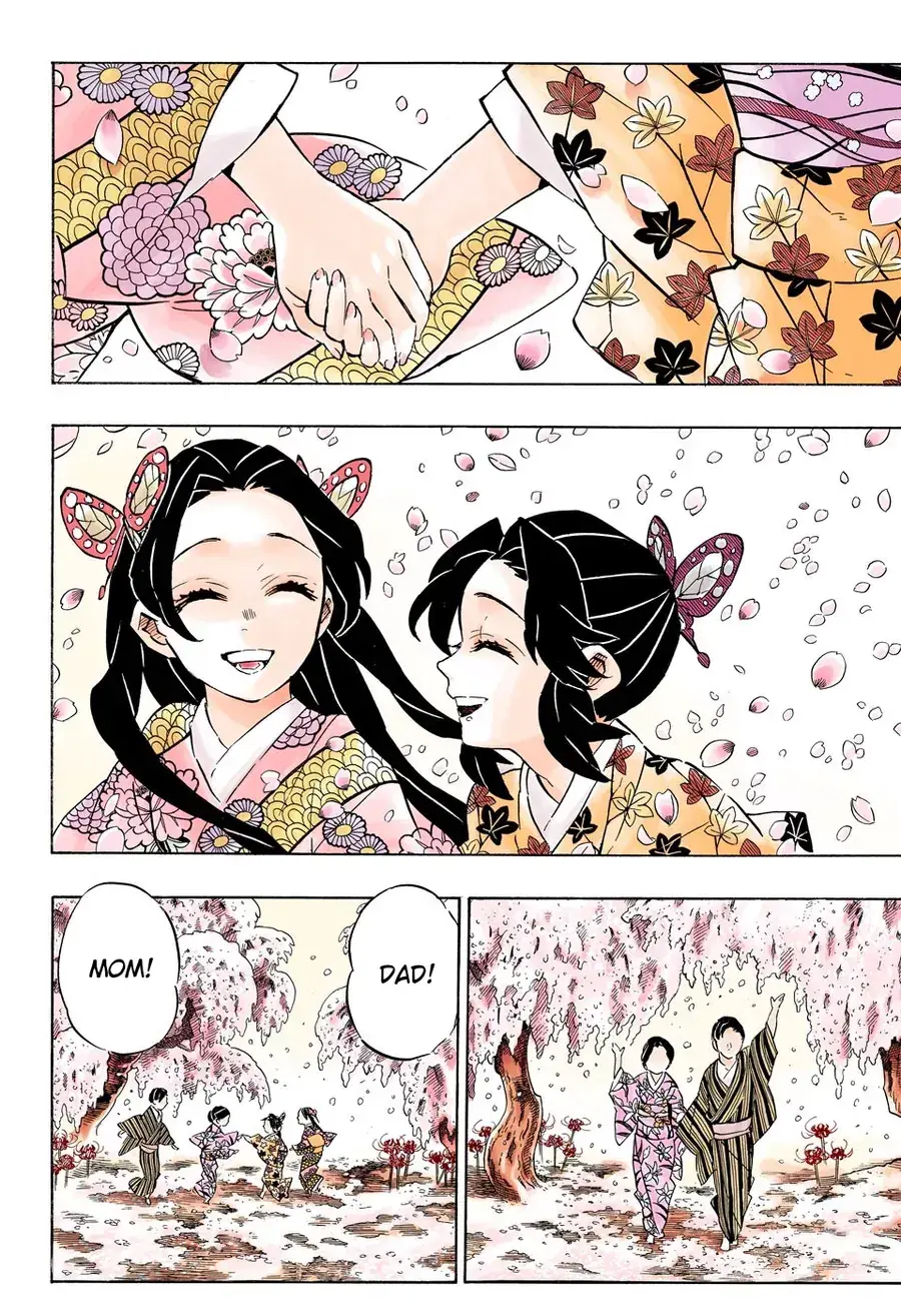Thanh Gươm Diệt Quỷ (Truyện Màu) Chapter 163 - Trang 19