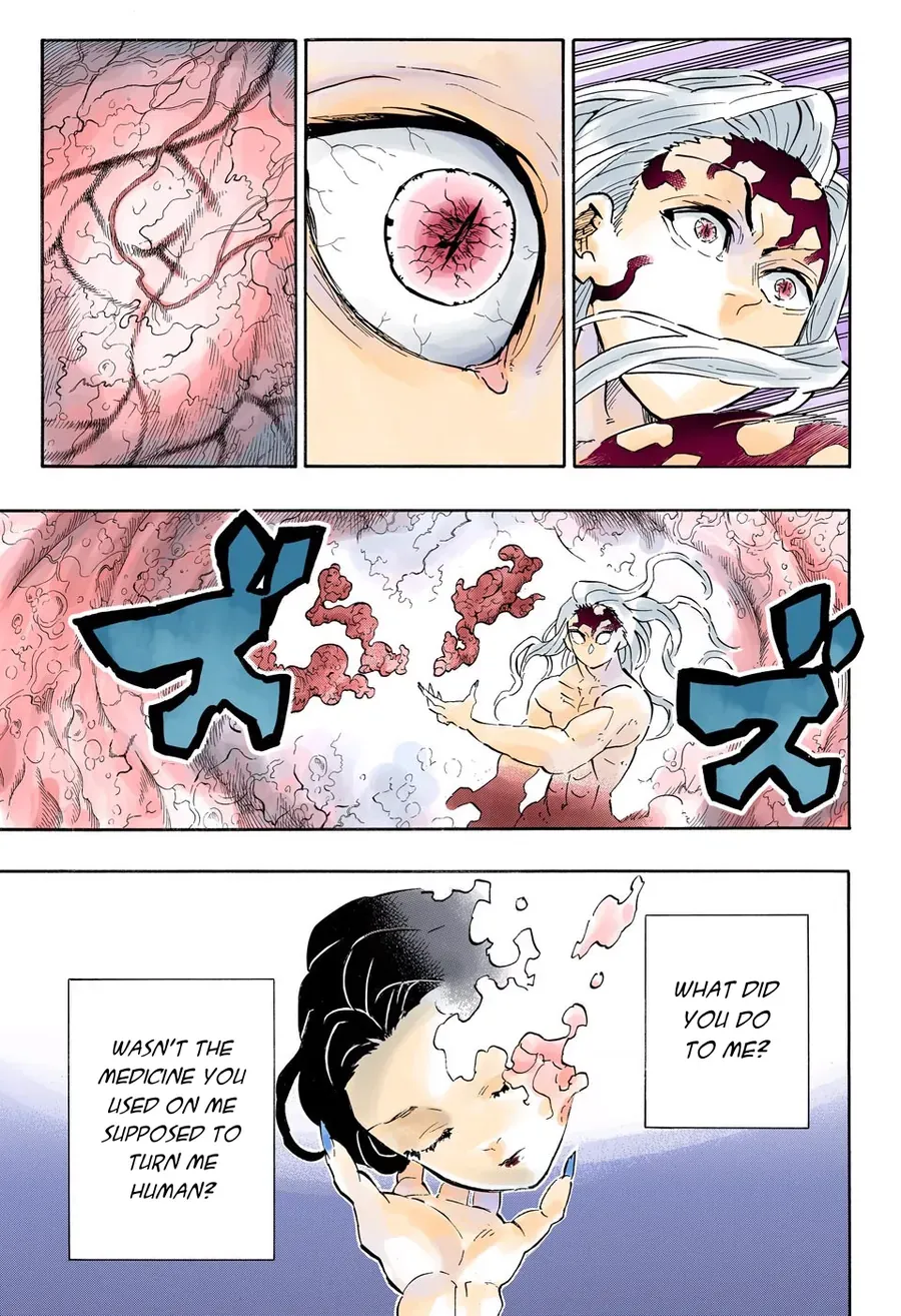 Thanh Gươm Diệt Quỷ (Truyện Màu) Chapter 193 - Trang 21