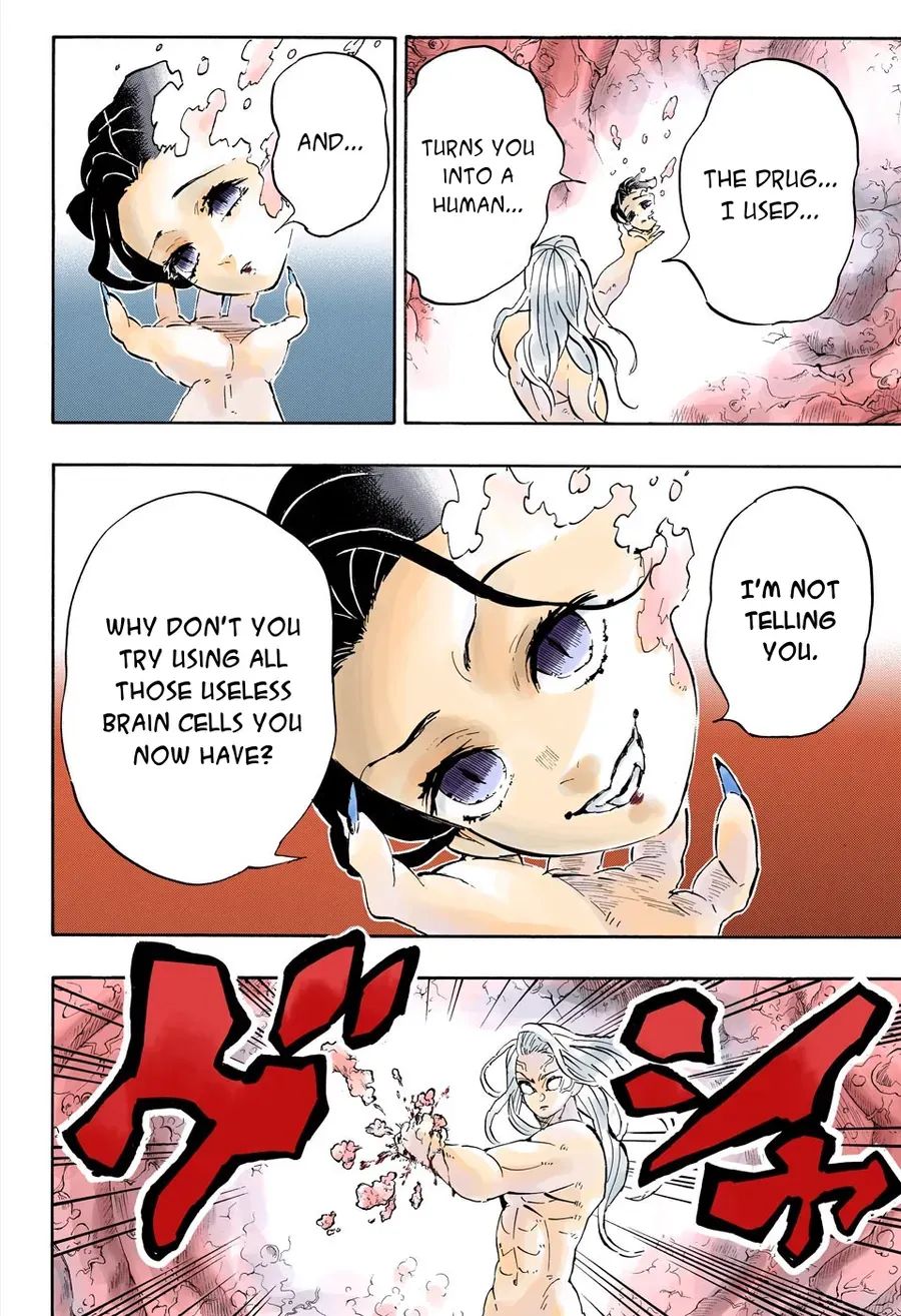 Thanh Gươm Diệt Quỷ (Truyện Màu) Chapter 193 - Trang 22