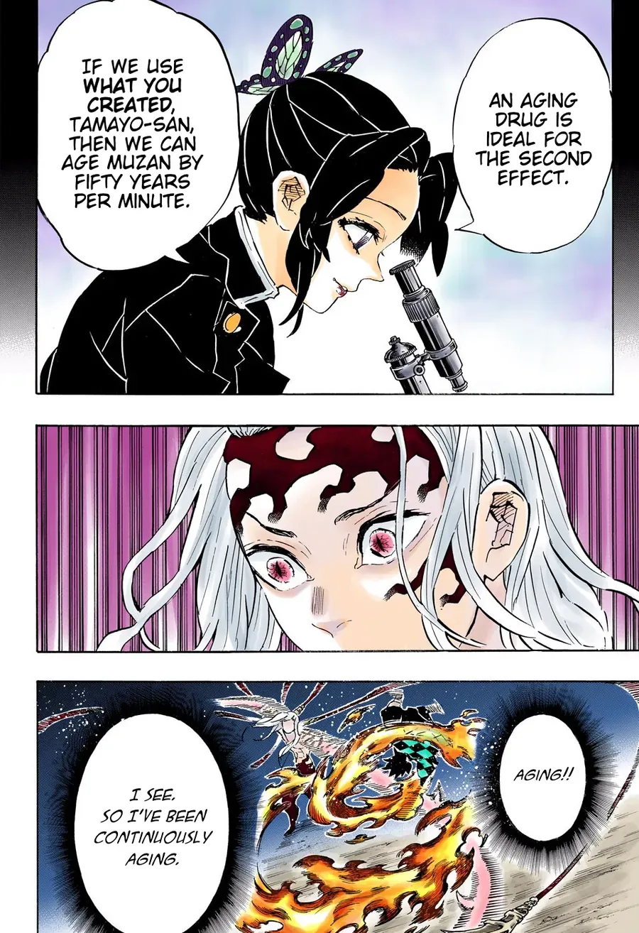 Thanh Gươm Diệt Quỷ (Truyện Màu) Chapter 193 - Trang 24