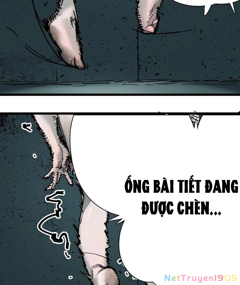 Thánh Huyết Chapter 1 - Trang 24