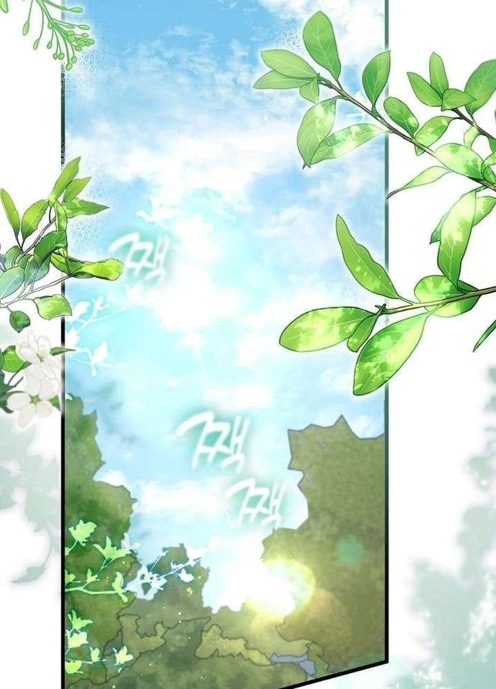 Thánh Nữ Điên Cuồng Tăng Giá Bất Động Sản Chapter 3 - Trang 3