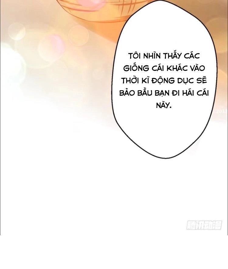 Thảnh Thơi Thú Thế Chủng Chủng Điền, Sinh Sinh Tể - Update Chapter 11 - Trang 30