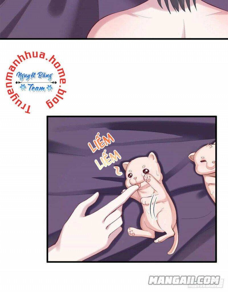 Thảnh Thơi Thú Thế Chủng Chủng Điền, Sinh Sinh Tể - Update Chapter 206 - Trang 26
