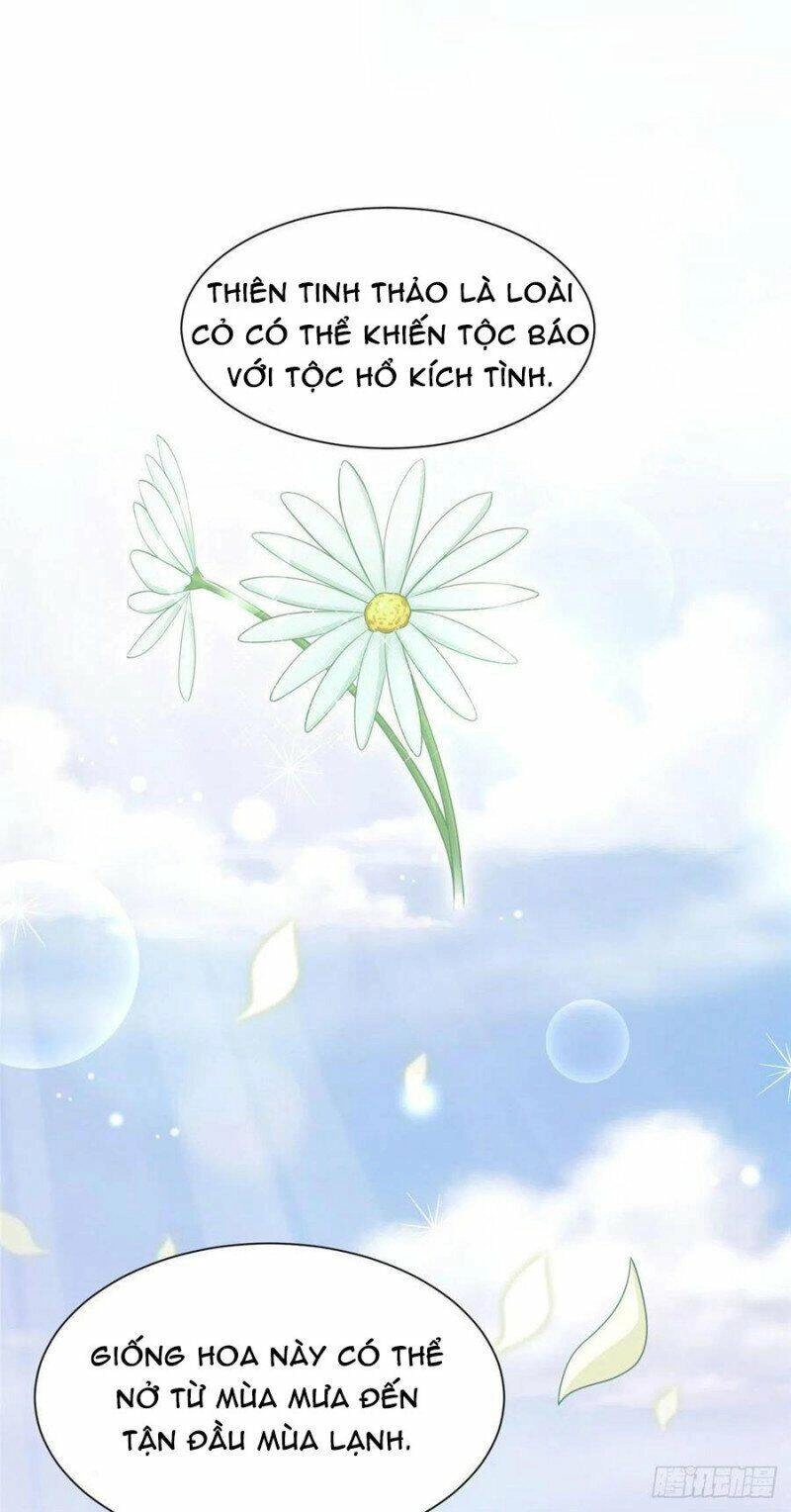 Thảnh Thơi Thú Thế Chủng Chủng Điền, Sinh Sinh Tể - Update Chapter 251 - Trang 2