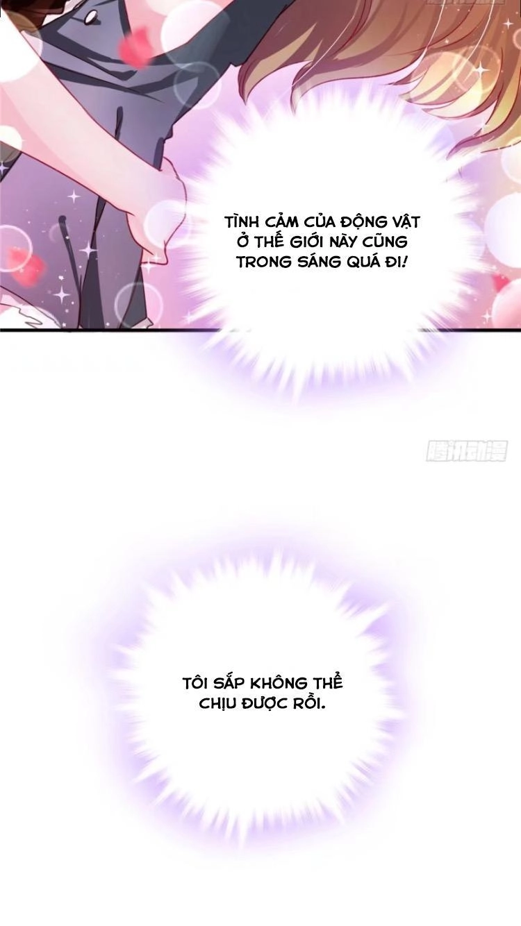 Thảnh Thơi Thú Thế Chủng Chủng Điền, Sinh Sinh Tể - Update Chapter 6 - Trang 28