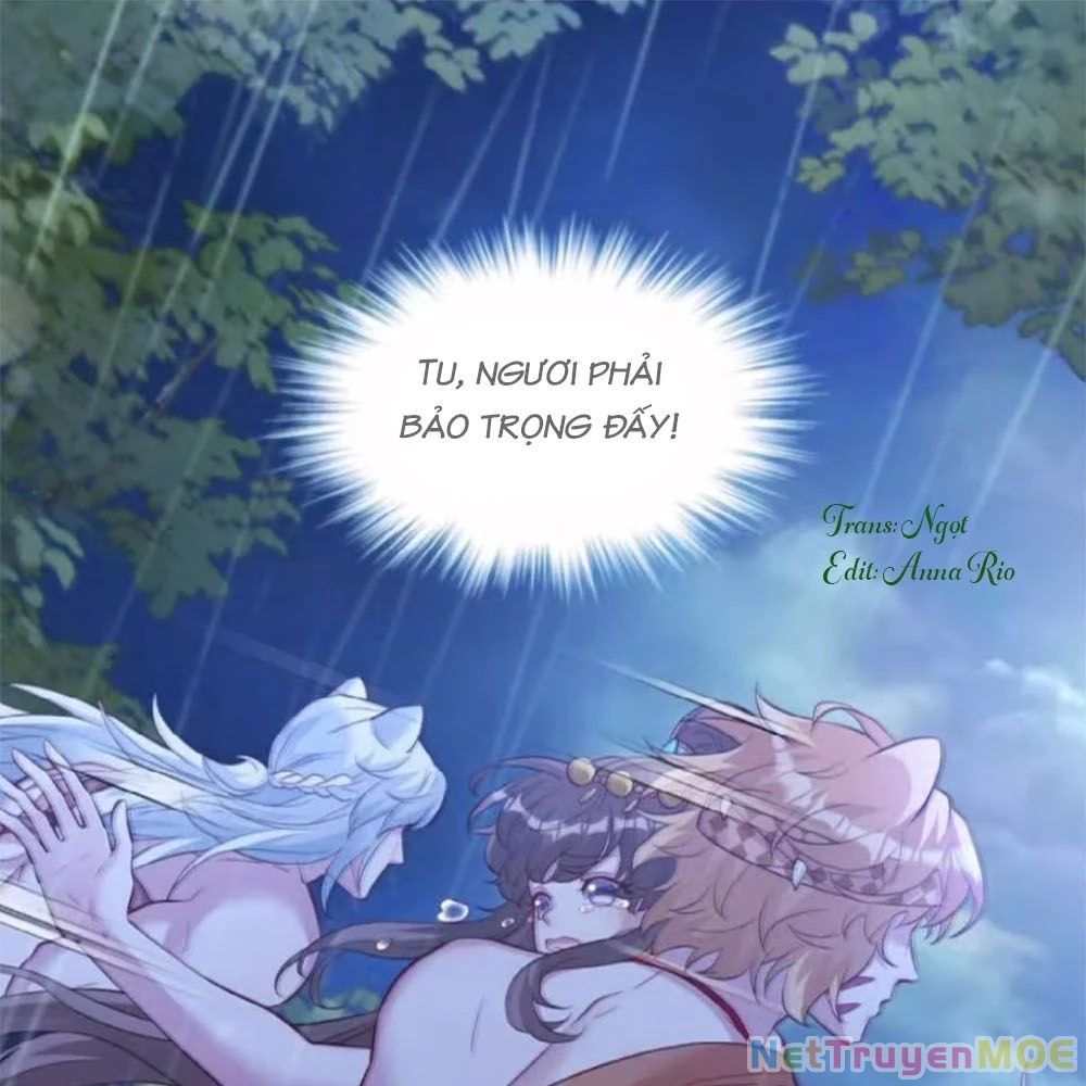 Thảnh Thơi Thú Thế Chủng Chủng Điền, Sinh Sinh Tể - Update Chapter 656 - Trang 4