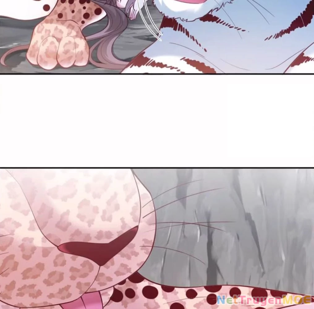 Thảnh Thơi Thú Thế Chủng Chủng Điền, Sinh Sinh Tể - Update Chapter 658 - Trang 19