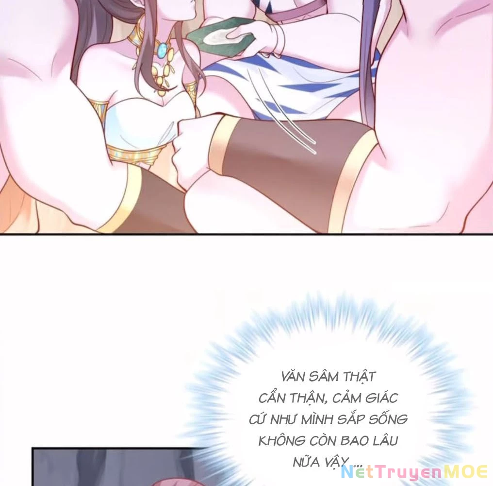 Thảnh Thơi Thú Thế Chủng Chủng Điền, Sinh Sinh Tể - Update Chapter 659 - Trang 5
