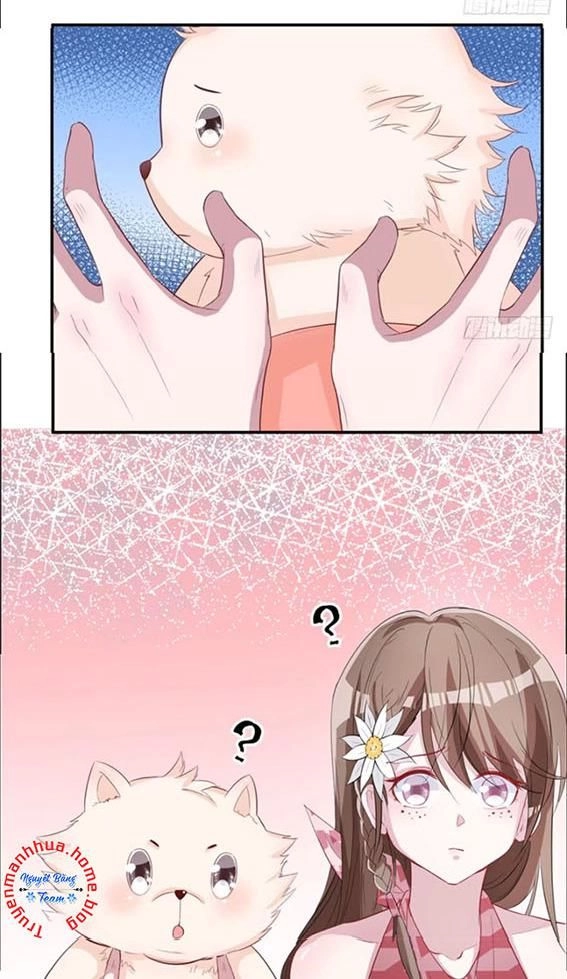 Thảnh Thơi Thú Thế Chủng Chủng Điền, Sinh Sinh Tể - Update Chapter 73 - Trang 28