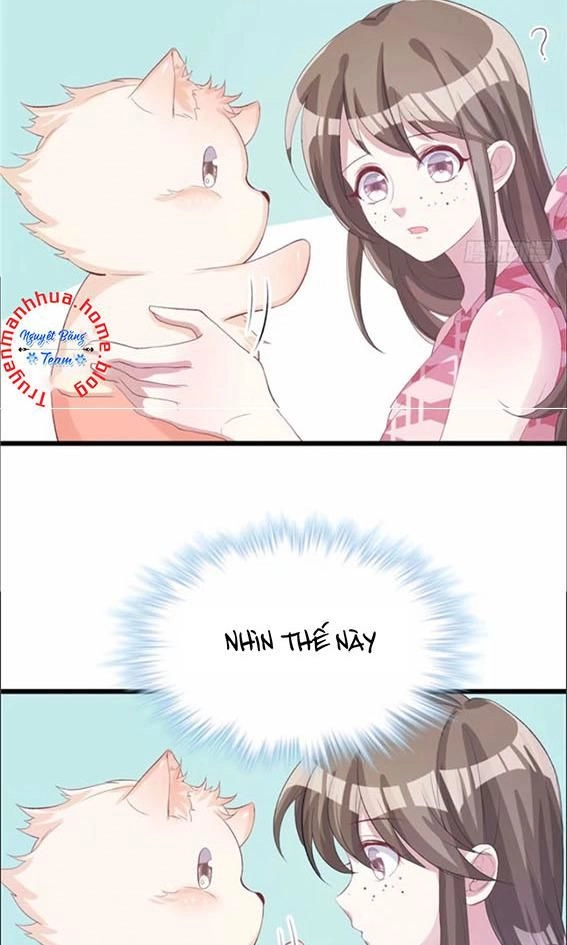 Thảnh Thơi Thú Thế Chủng Chủng Điền, Sinh Sinh Tể - Update Chapter 74 - Trang 7