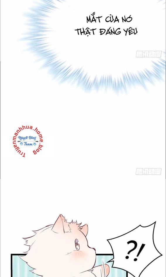 Thảnh Thơi Thú Thế Chủng Chủng Điền, Sinh Sinh Tể - Update Chapter 74 - Trang 9