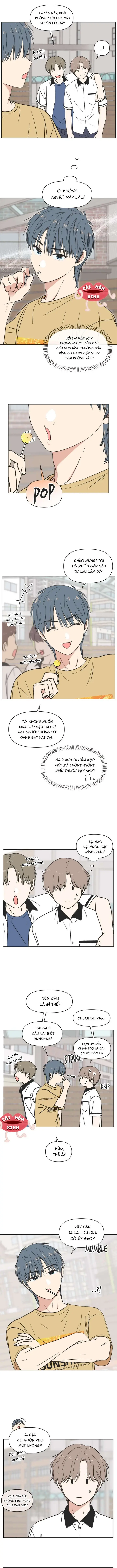 Thanh Xuân Đáng Yêu Chapter 28 - Trang 3